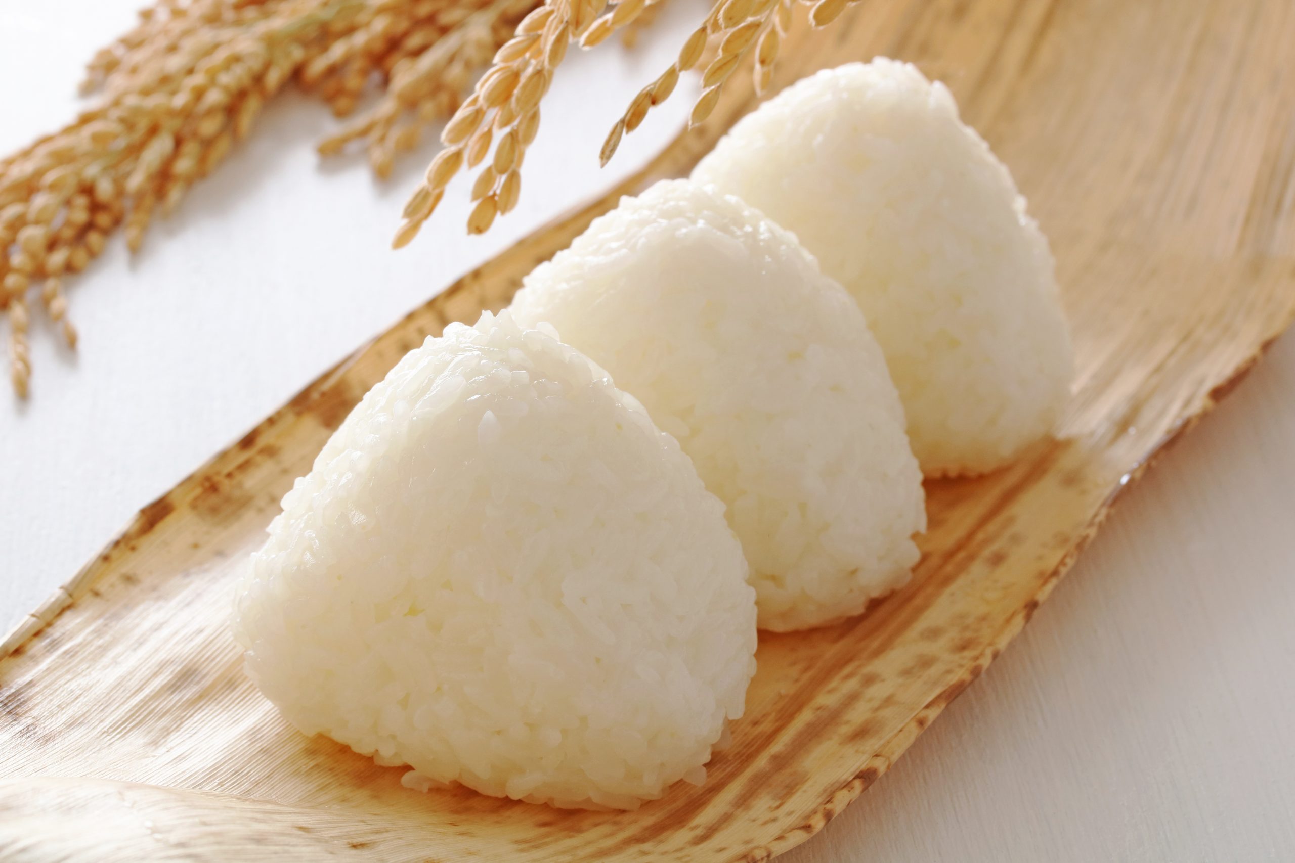 おにぎり 塩むすび おにぎりjapan 一般社団法人おにぎり協会